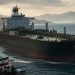 Iran Insurance