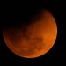 Blood Moon Eclipse
